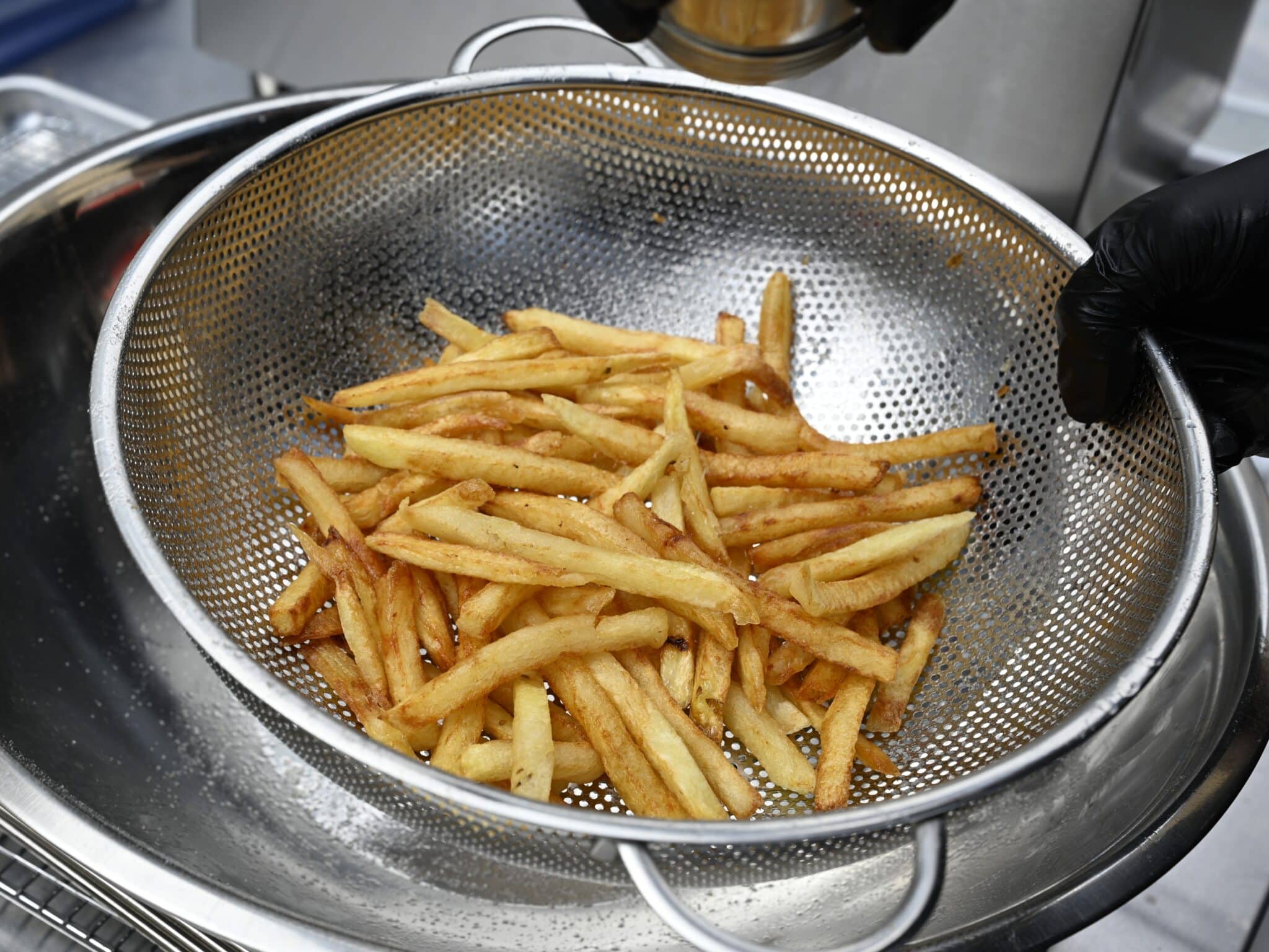 Duck Fat Fries